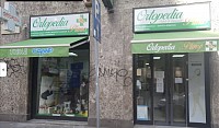 Cromopuntura Milano, studio Ortopedia Plinio, via Plinio 1